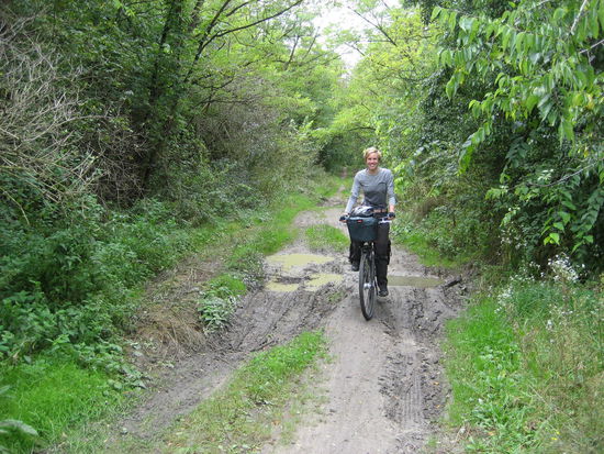 Der Radweg, hier in Ungarn nicht immer geteert und Abschnitte davon einfach nur Feldwege. Mit diesem Untergrund 100 km am Tag fahren bedeutet bis zu 8,5 Std im Sattel sitzen.