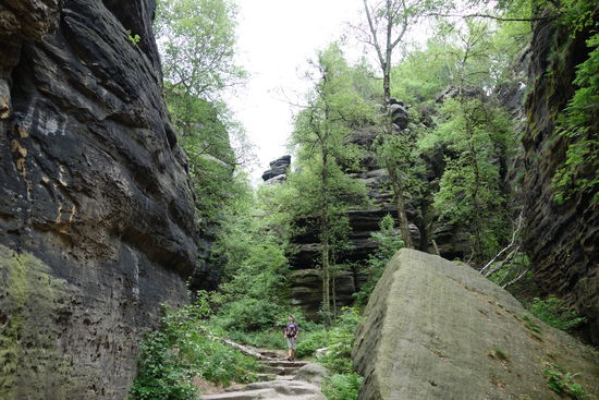 Hier auf dem Weg zum Pfaffenstein.