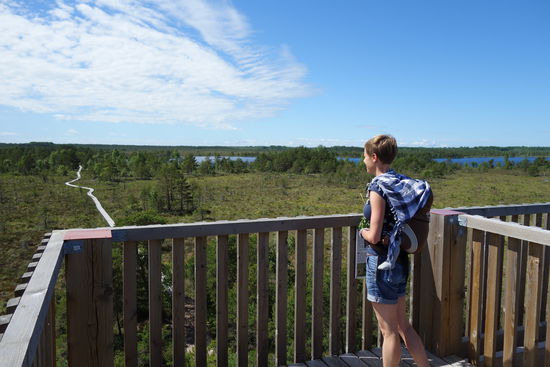 Wanderweg auf Saaremaa.