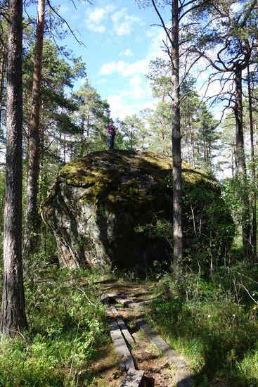 Findling im Lahemaa Nationalpark