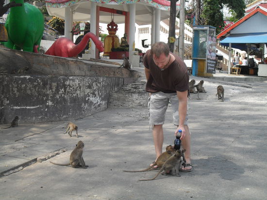 vor den Affen konnte der Flo die Cola noch retten 