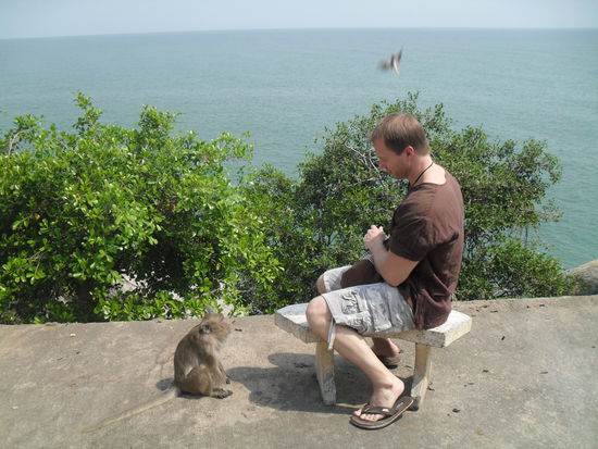 Wer ist hier der Affe?