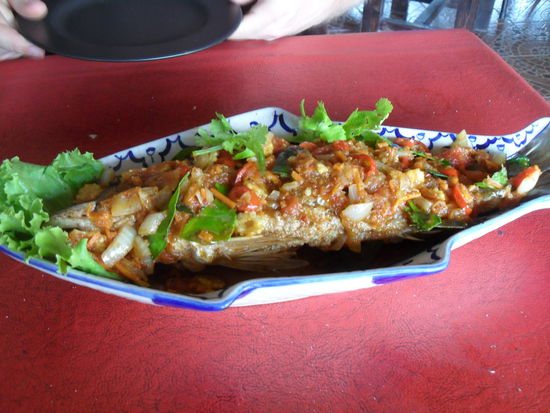 Unser Essen gestern und heute und bestimmt noch ganz oft: Schu Schi Plaa (gebackener Fisch in rotem Thai Curry - total yammie)