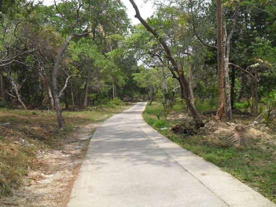Das ist hier auf der Insel die Hauptstrasse, der Highway sozusagen