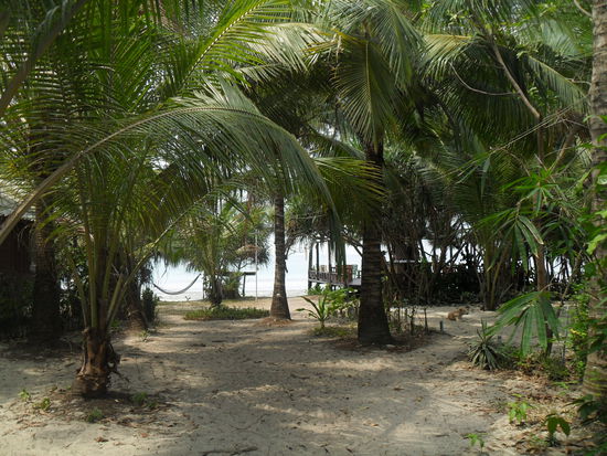 Blick von unserer Terasse - gibt Schlimmeres, oder?