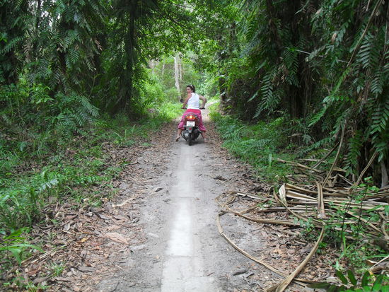 das ist der Weg zu unserer Bungalowanlage