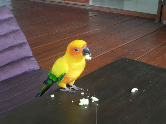 und den Kuchen ißt er den Kindern auch noch weg