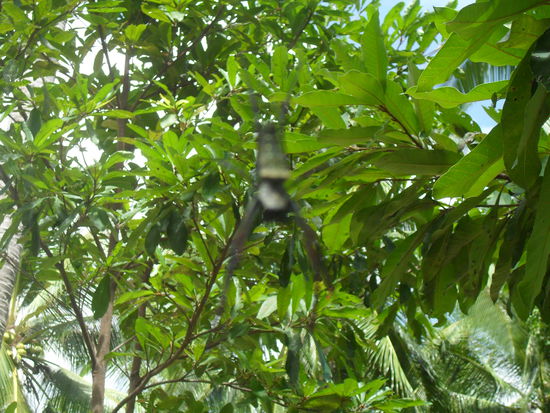 das ist die kleine süße Spinne