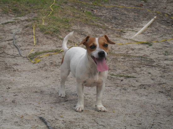 und das war diese kleine Dreckstöle