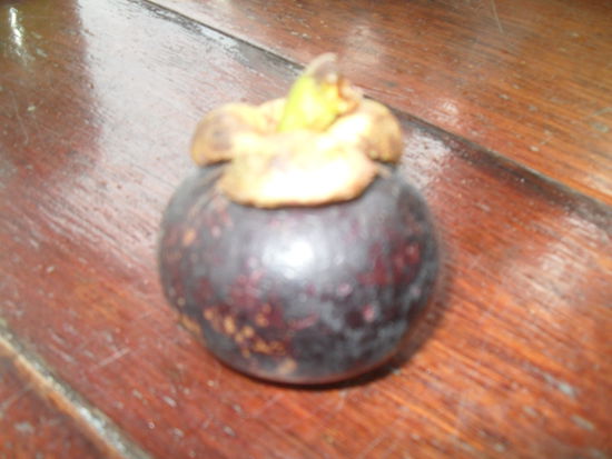 Als erstes kamen wir an einem Minimarkt vorbei, wo es diese Frucht gab: Bei uns heißt sie wohl Mangosteen (wie auch immer das geschrieben wird), hier heißt sie Mangod. Nach dem Probieren, kauften wir direkt ein halbes Kilo