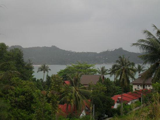 Dann sind wir ein Stückchen in den Dschungel - das ist der Anblick bei Regen