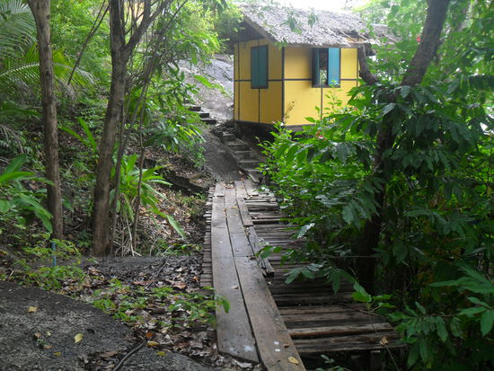 Beim Versuch durch den Dschungel zu laufen - wegen Regen und falschem Schuhwerk abgebrochen