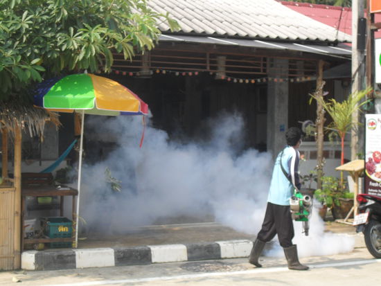auf dem Suche nach einem Rollervermieter, konnten wir beobachten, wie hier Pestiziede gegen die Moskitos gesprueht werden - koennen sie sowas nicht Nachts machen???