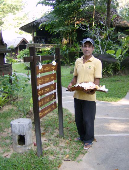 Unser Haus- und Hofflorist beim Schmücken der Anlage