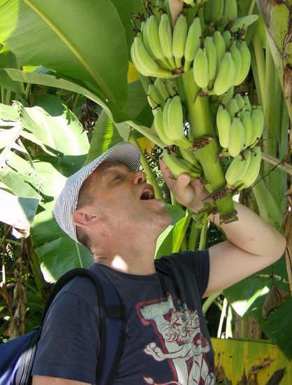 Kleine Stärkung zwischendurch