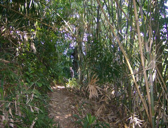 Suchbild: finde Achim!