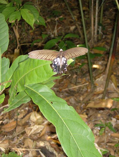 .... hoffentlich bleibt der sitzen, bis ich ihn drauf hab...