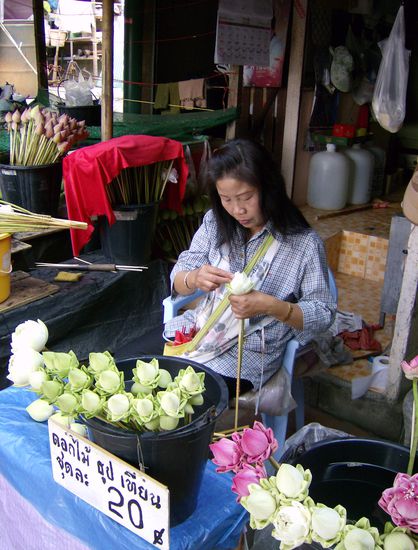 Hier werden Lotusblüten in Form gebracht, um sie dann den Pilgern als Opfergaben zu verscherbeln (20 Baht sind übrigens ca. 50 Cent)