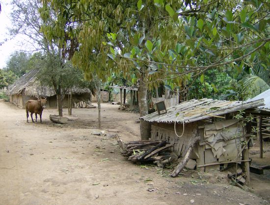 Die Menschen hier leben in extremst einfachen Verhältnissen. Hier regiert noch der Geisterglaube (Die Hütten haben keine Fenster, damit keine bösen Geister eindringen können) und der Schamanenkult.