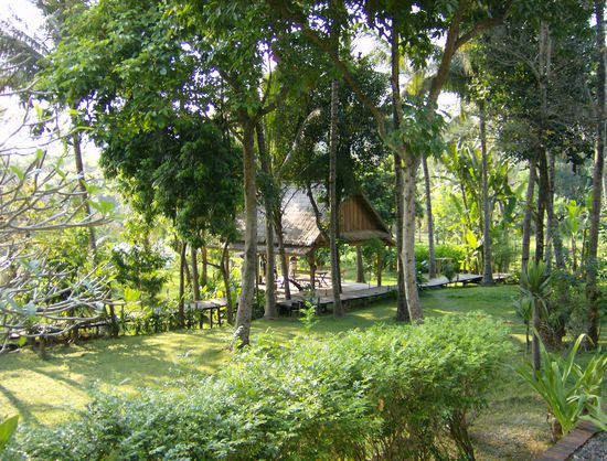 Blick in den Garten von unserem Balkon. Die Hütte im Grünen ist das Openair-Fitnessstudio (standen sogar ein paar brauchbarer Geräte drin)