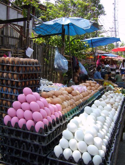 Keine gefärbten Ostereier, sondern es gibt hier tatsächlich irgendwelche Viecher, die schöne rosafarbene Eier legen - zu Ostern aber wirklich praktisch.