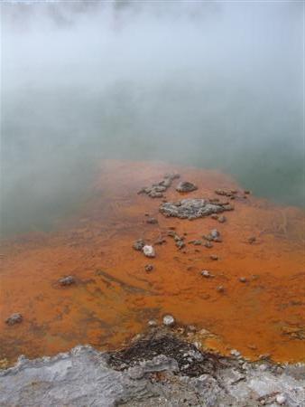 Eisenausfaellungen am Ufer