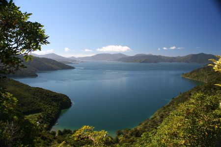 Blick in den Queen Charlotte Sound