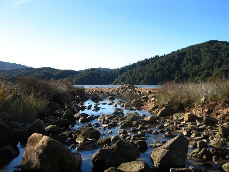Brackwasserzone bei Ebbe