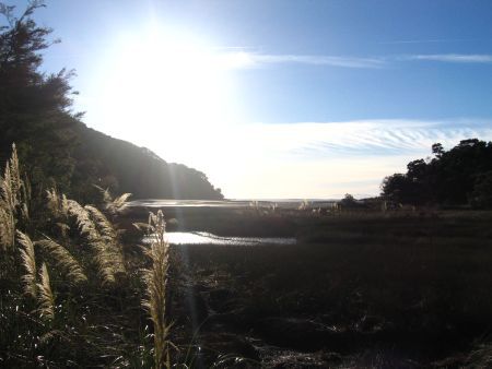 ... und Morgenstimmung im Nationalpark