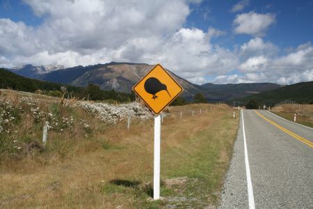 Kiwi-Zone