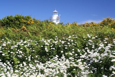 Leuchtturm am Cape Foulwind bei Westport