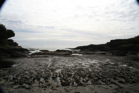 Tidal Zone