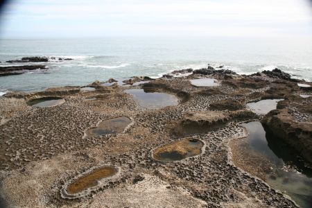 Tidal Pools
