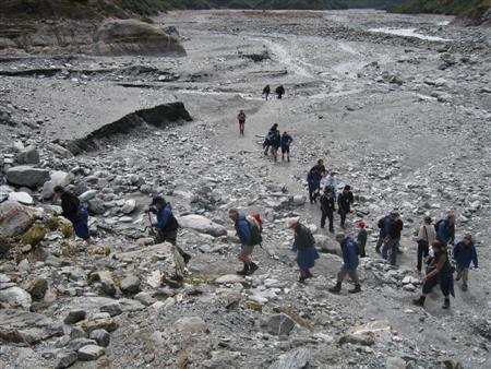 Und das sind Ameisen bei einer guidet Lifetime-Experience