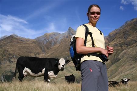 Am Weg zum Rob Roy Glacier