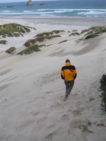 Duenenlauf an der Sandfly Bay