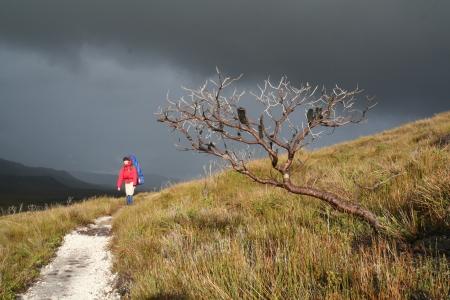 Wilde Wetterumschwuenge am Start des Tracks