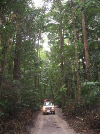 Quer durch den Regenwald im Klettermaxe