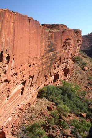 Mitten im Kings Canyon