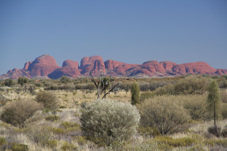 The Olgas oder Kata Tjuta - 36 Gipfel etwa 50 km vom Ayers Rock entfernt