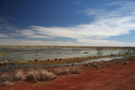 Ein Paradies fuer Wasservoegel mitten in der Tanami Wueste