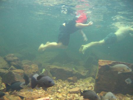 Black Bream und Touristenpopscherl