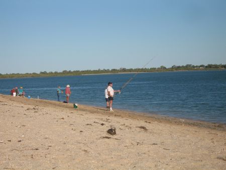 Stattliche Fischerixen am Karumba - Point. Und da stehen sie in der Dryseason Tag fuer Tag, monatelang!!