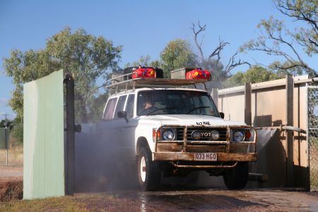 Der Landcruiser beim Entlausen