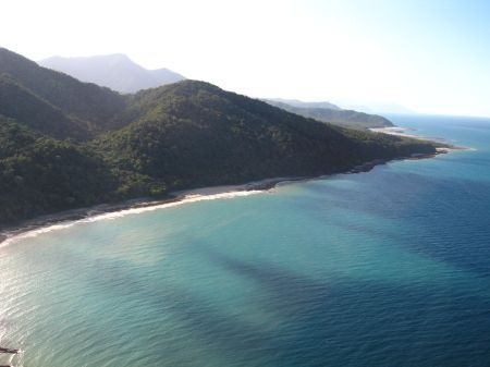 Where Rainforest meets the Sea