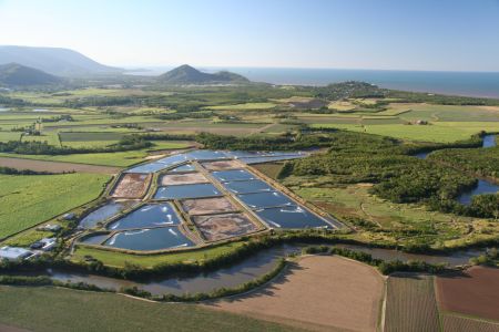 Und so entstehen Garnelen: Wasser, Trockenfutter, Antibiotika rein und Shrimpse raus