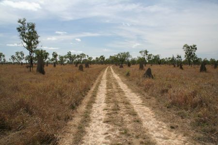 Feldwege fuehren zu den begehrten Angelspots an den verbleibenden Wasserstellen