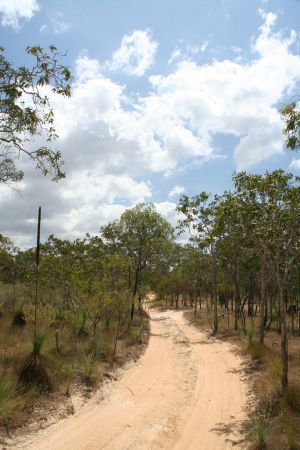 Einer der besseren Strassenabschnitte am Cape Melville Track...