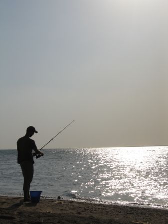 Fischerix