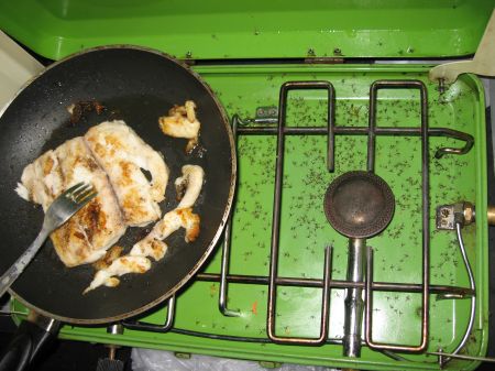 Fisch in Mueckenpanier